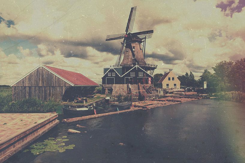 die Ratte von Wolbert Erich