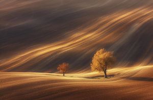 Einsame Herbstlandschaft