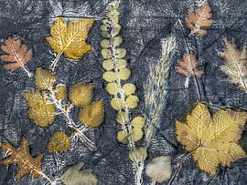 Eco print including birch, snowberry, reed, oak and hawthorn. by Hanneke Luit