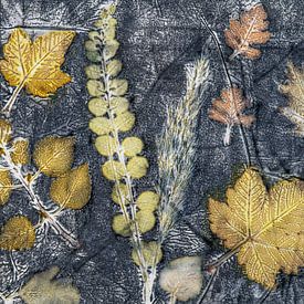 Eco print including birch, snowberry, reed, oak and hawthorn. by Hanneke Luit