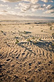 Strand auf Korsika von Jonathan Schöps | UNDARSTELLBAR.DE — Visuelle Gedanken zu Gott