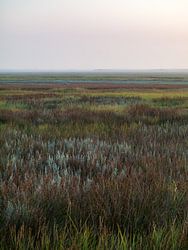 De Slufter In De Ochtend
