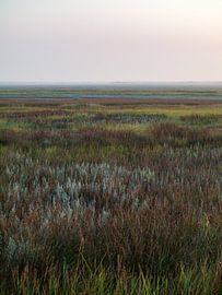 Le Slufter au petit matin