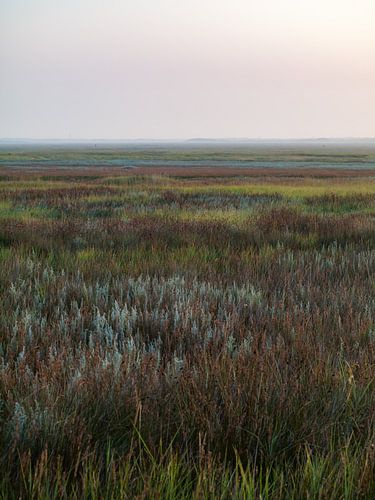 The Slufter in the Morning by Mr White Takes Pictures