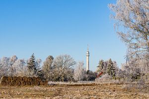 Blick auf den Fernmeldeturm Stadtweide in Rostock im Winter
