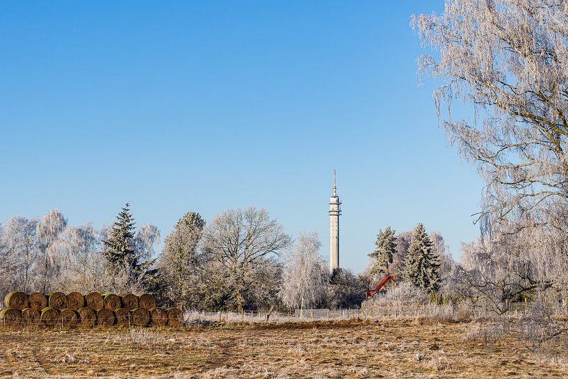 View of the Stadtweide telecommunications tower in Rostock in winter by Rico Ködder
