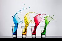 4 colors 2