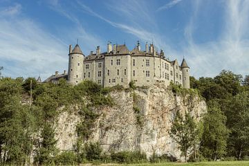 Chateau de Walzin van Jessica Pool