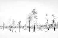Winterlandschap I van Sam Mannaerts thumbnail