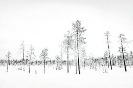 Winterlandschaft I