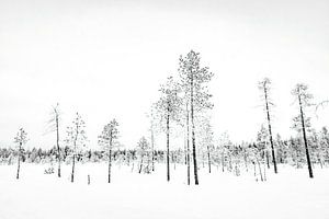Winterlandschap I