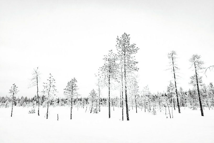 Winterlandschap I van Sam Mannaerts