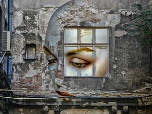 Looking for a Lost Place