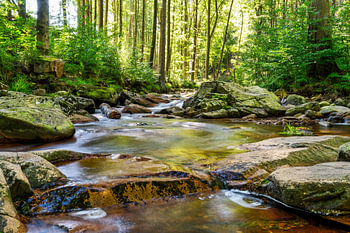Ein Blick auf die Wasserfälle der Ilse im Harz