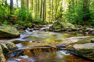 Uitzicht op de watervallen van de Ilse in het Harzgebergte van Andreas Völkel