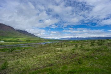 IJsland - Eindeloze brede groene vallei met honderden hooibalen in het oogstseizoen van adventure-photos