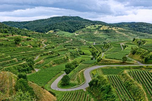 Kaiserstuhl - la plus belle vue sur le vin sur Gisela Scheffbuch