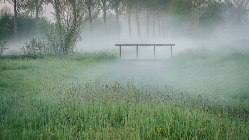 Prachtige mistige morgen