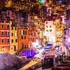 Riomaggiore de nuit - Cinque Terre - Italie sur Lizanne van Spanje