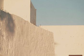 Rote Blume_aus der Serie_Tinseltown