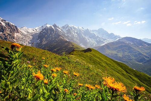 Mountain and glacier in Georgia near Ushguli