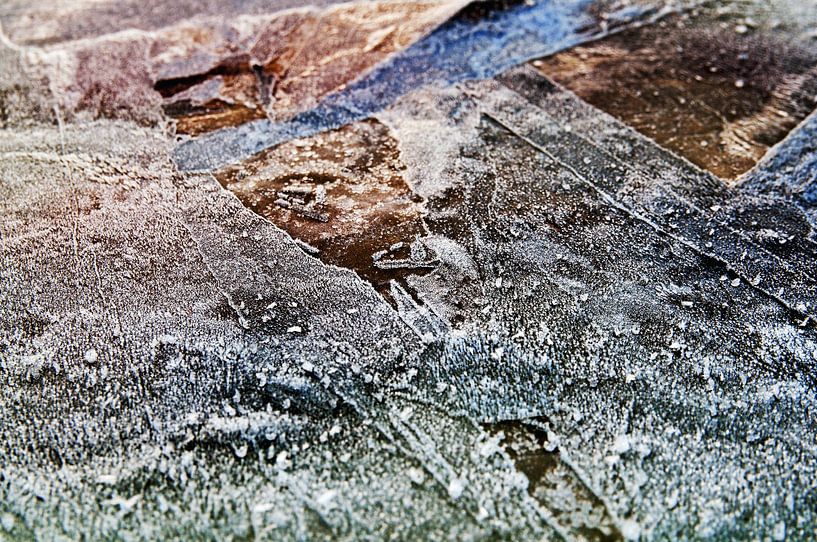 Winter poetry of ice and frost by Silva Wischeropp