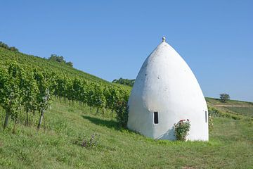 Trullo dans la région viticole de Rheinhessen sur Peter Eckert