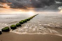 surfen
