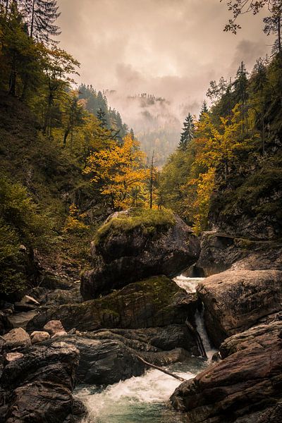 Mystieke herfst van Mariette Alders