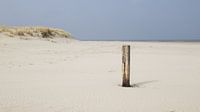 Terschelling 6