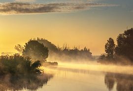 Nebel-Landschaftsbiesbosch von natascha verbij