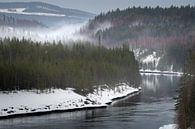 Mist boven de Indalsalven in Zweden van Bart Cox thumbnail