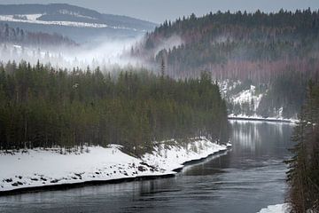 Mist boven de Indalsalven in Zweden van Bart Cox