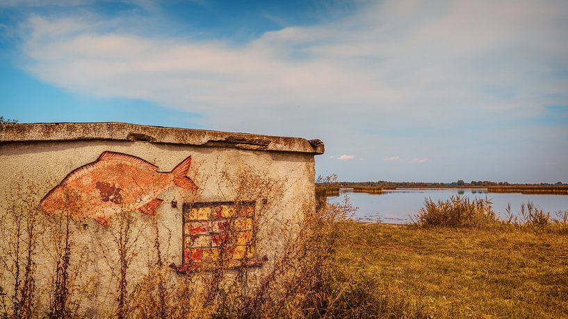 Abandoned fishpond by rosstek ®