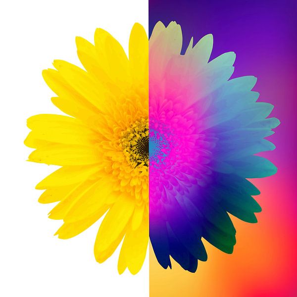 Tag und Nacht von Harry Hadders Design