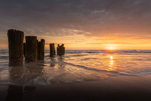 Pfähle im Meer bei „De Kerf“ in Schoorl