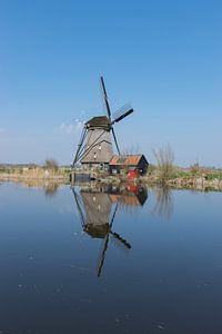 Perfekte Spiegelung einer niederländischen Windmühle in Kinderdijk