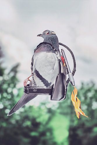 Spektakuläres Action-Film-Tauben-Ass mit Jetpack und Pilotenbrille - Abenteuer in der Stadt von Elianne van Turennout