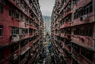 Hong Kong Urban Jungle van Mario Calma thumbnail