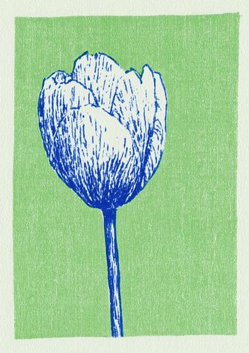 Blue tulip on a green background by Niklas Maximilian
