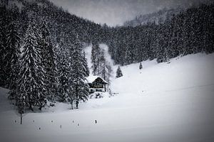 Wintersprookje HEMMERSUPPENALM IX van Melanie Viola