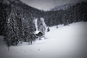 Bavarian Winter's Tale IX van Melanie Viola