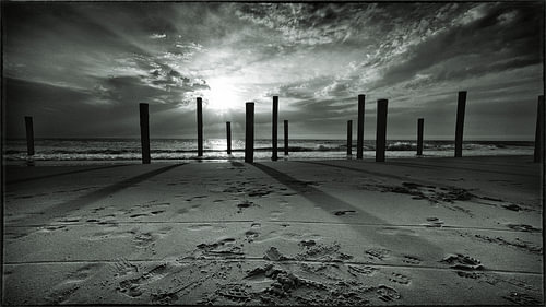 Piles at Petten ZW