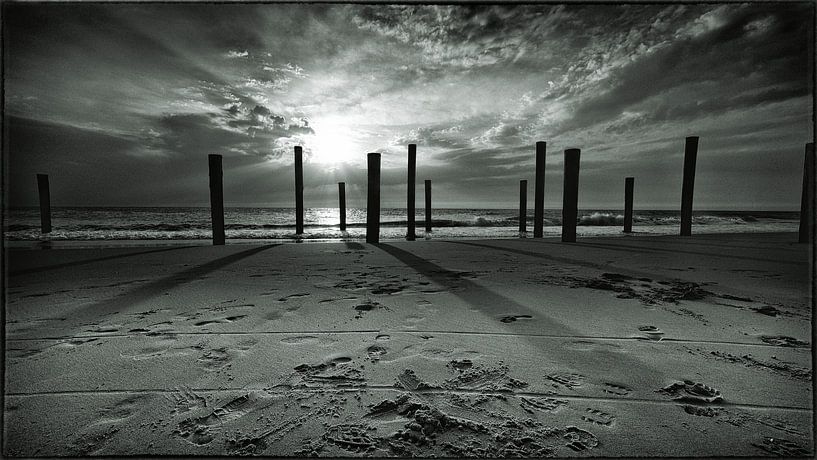 Piles at Petten ZW by Pierre Emanuel
