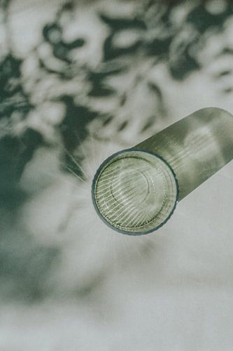 Photo print of shadow of leaves by Sanne Overeijnder