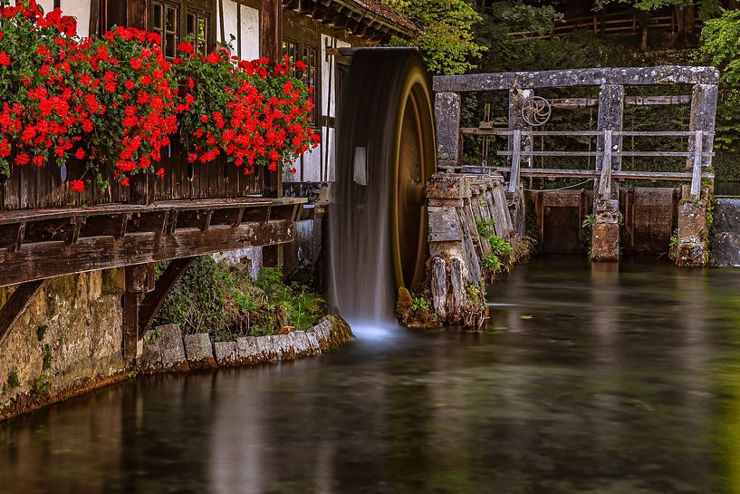 BADEN-WÜRTTEMBERG : BLAUBEUREN - BLAUTOPF van Photoart-Naegele