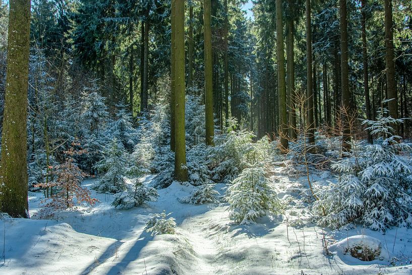 Natuur en landschap in het Erzgebergte van Johnny Flash