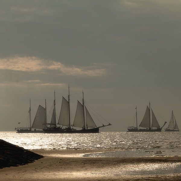 Sanftes Segeln von Ellen Borggreve