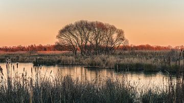 sewage farm by Steffen Peters