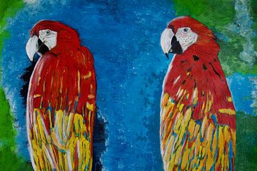 Twee papegaaien van Susanne A. Pasquay